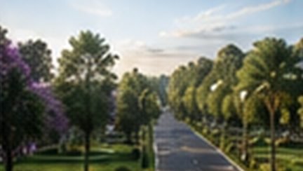 Tree-lined avenue inside the KBEHCS layout near Devanahalli